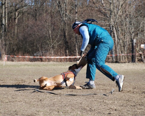 Training in Estonia 30.3 - 1.4. 2007